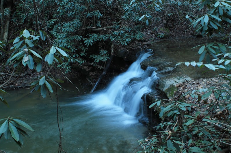 Waterfall Wonders: Yellow Branch Falls surrounding landscape