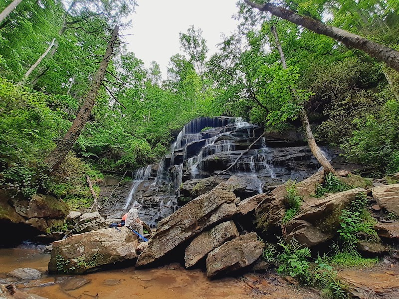 Waterfall Wonders: Yellow Branch Falls - Yellow Branch Falls