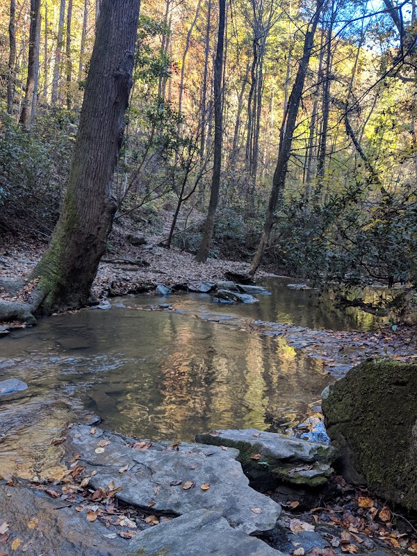 Waterfall Wonders: Yellow Branch Falls outdoor detail