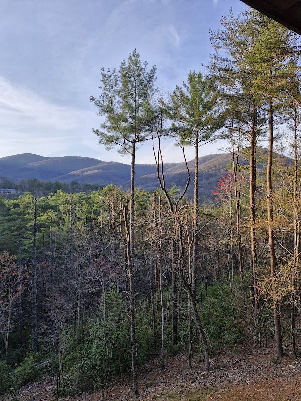 Cold Mountain: A Tranquil Haven in Georgia's Wilderness surrounding landscape