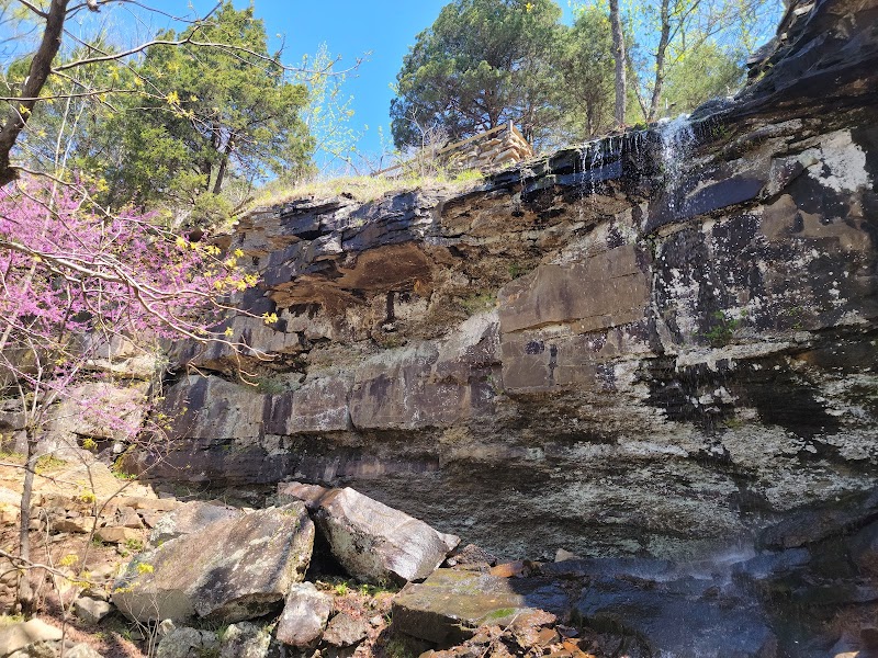 Mount Nebo: A Natural Paradise in Arkansas outdoor detail