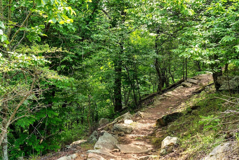 Mount Nebo: A Natural Paradise in Arkansas surrounding landscape