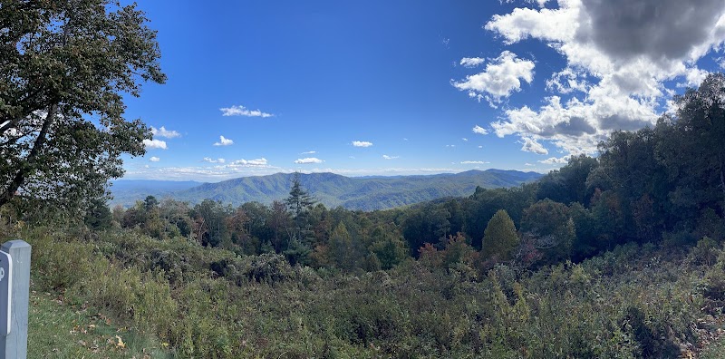 Scenic Splendor at The Blue Ridge Parkway - The Blue Ridge Parkway