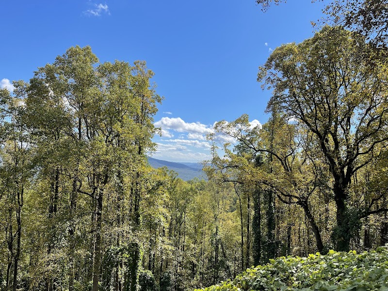 Scenic Splendor at The Blue Ridge Parkway - The Blue Ridge Parkway
