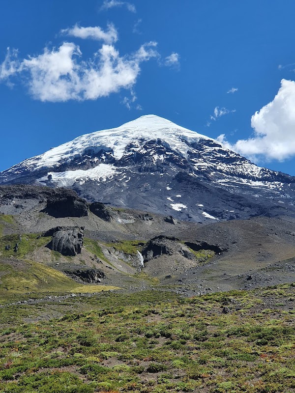Lanín's Majestic Beauty - Lanín