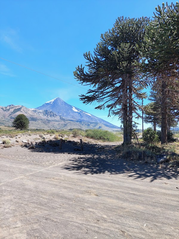 Lanín's Majestic Beauty - Lanín
