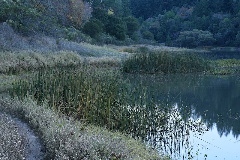 Santa Cruz Mountains: Nature's Playground outdoor detail