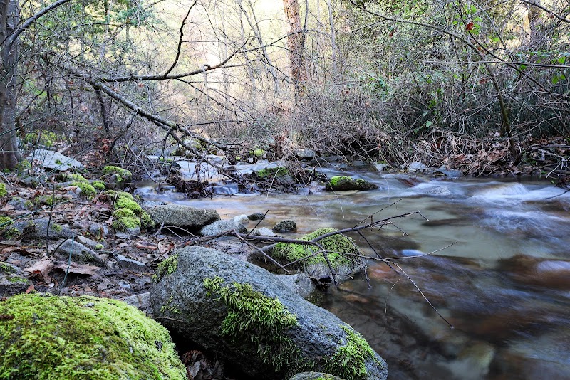 Whiskeytown Falls: Nature's Cascading Wonder - Whiskeytown Falls