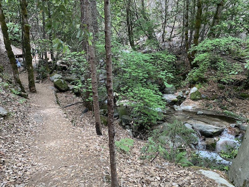 Whiskeytown Falls: Nature's Cascading Wonder surrounding landscape