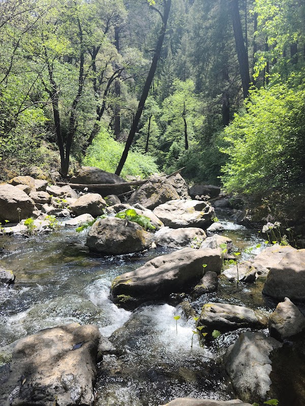 Refreshing Waters of Potem Creek Falls surrounding landscape
