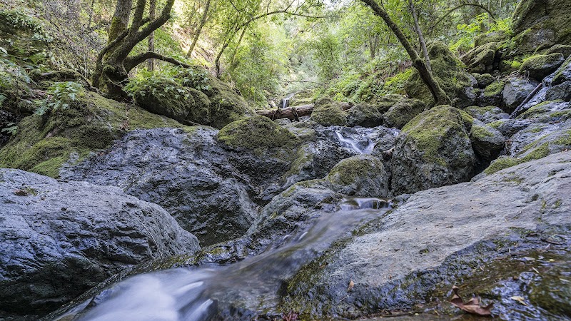 Waterfall Wonder in Marin County: Cataract Falls surrounding landscape