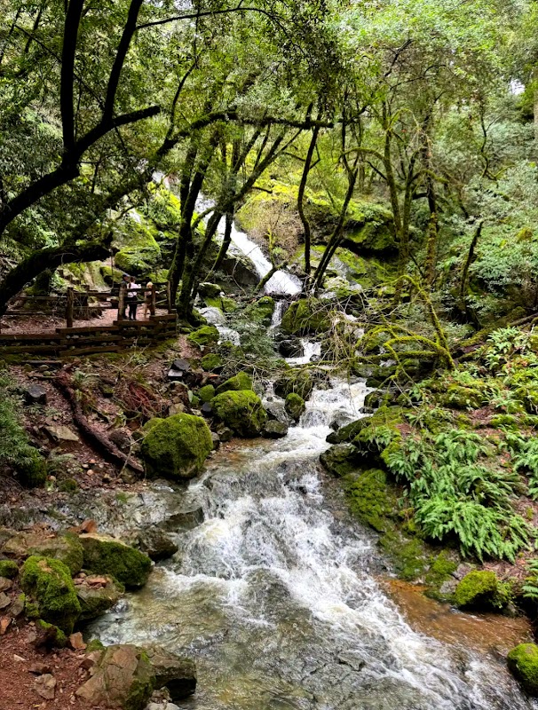 Waterfall Wonder in Marin County: Cataract Falls outdoor detail