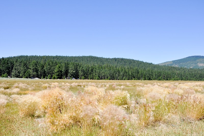Eagle Lake: Serene Beauty in California's Wilderness - Eagle Lake