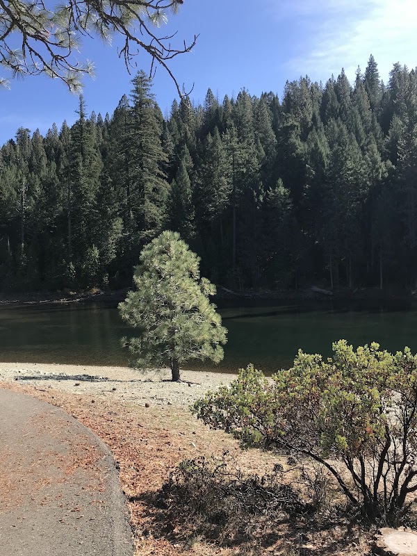 Tranquil Retreat at Sugar Pine Reservoir outdoor detail