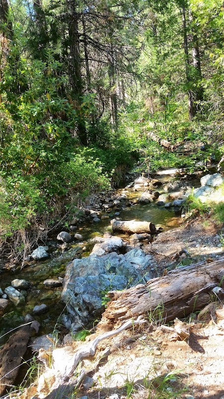 Tranquil Retreat at Sugar Pine Reservoir - Sugar Pine Reservoir