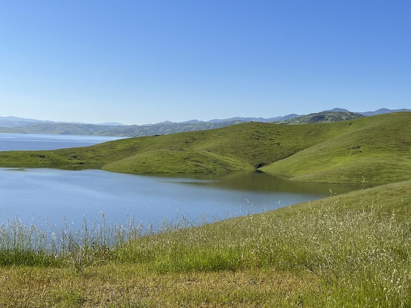 Water Paradise: San Luis Reservoir outdoor detail