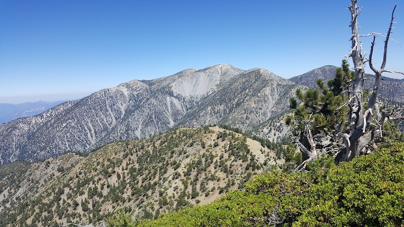 Nature's Retreat: Angeles National Forest - Angeles National Forest