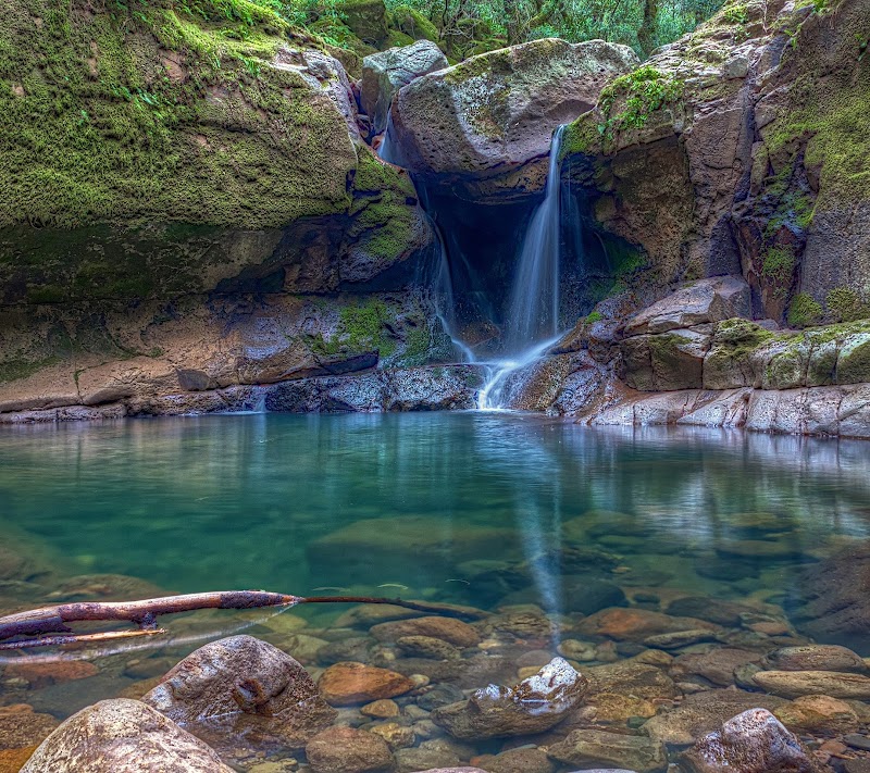 Nature's Retreat: Angeles National Forest surrounding landscape