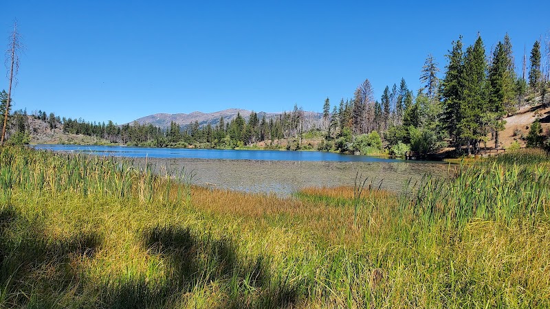 A Wilderness Escape in Mendocino National Forest - Mendocino National Forest
