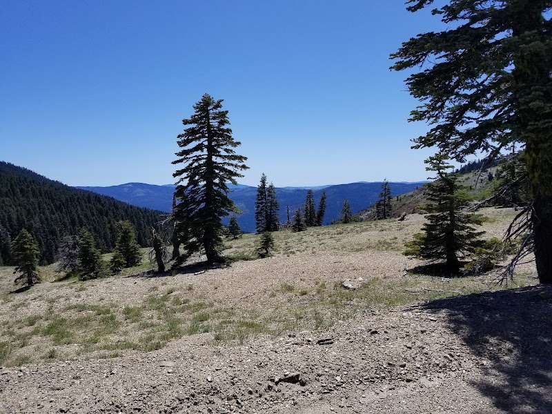 A Wilderness Escape in Mendocino National Forest - Mendocino National Forest