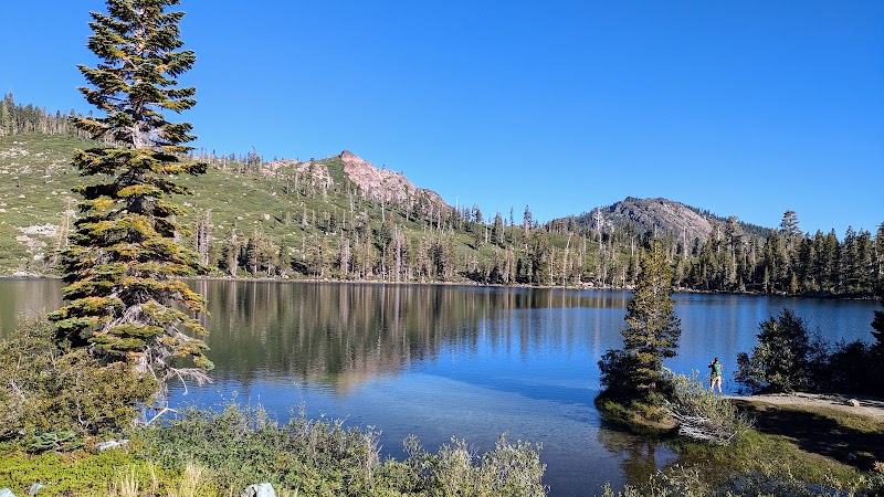 Discover the Tranquil Beauty of Plumas National Forest - Plumas National Forest