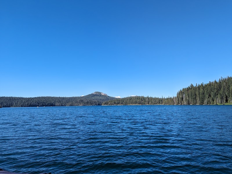 Discover the Tranquil Beauty of Plumas National Forest - Plumas National Forest