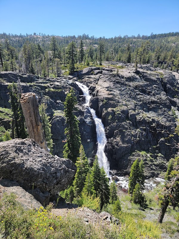 Discover the Tranquil Beauty of Plumas National Forest outdoor detail