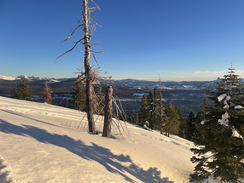 Wilderness Awaits: Tahoe National Forest outdoor detail