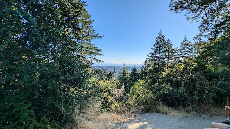 Discover the Wonders of The Forest of Nisene Marks State Park outdoor detail