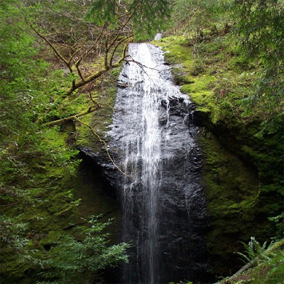 Waterfall Wonders at Jackson Demonstration State Forest - Jackson Demonstration State Forest