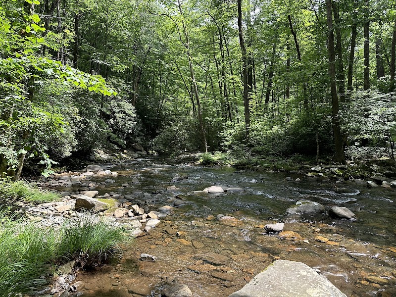 Natural Beauty at Fires Creek Picnic Area - Fires Creek Picnic Area