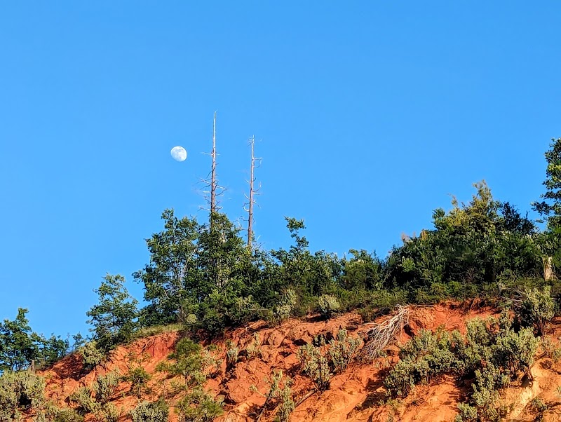 Magnificent Views at Stanislaus National Forest Vista surrounding landscape