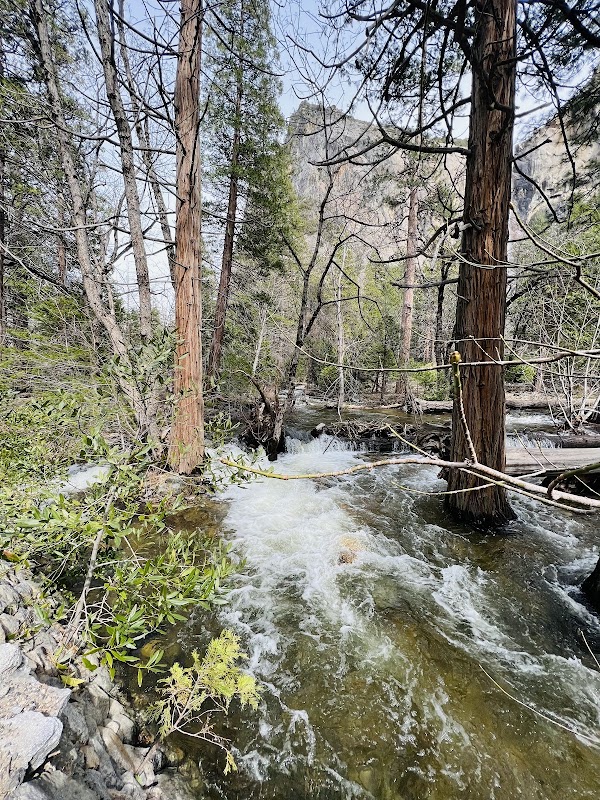 Magnificent Views at Stanislaus National Forest Vista outdoor detail