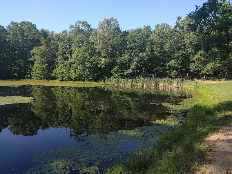 Discovering Franklin State Forest: A Natural Haven surrounding landscape