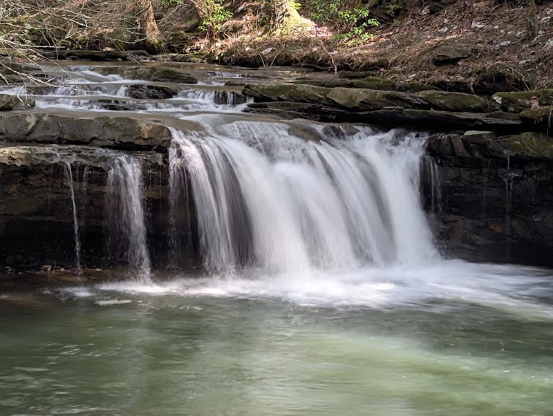 Discover Grundy Forest State Natural Area - Grundy Forest State Natural Area at South Cumberland State Park