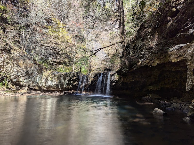 Discover Grundy Forest State Natural Area surrounding landscape