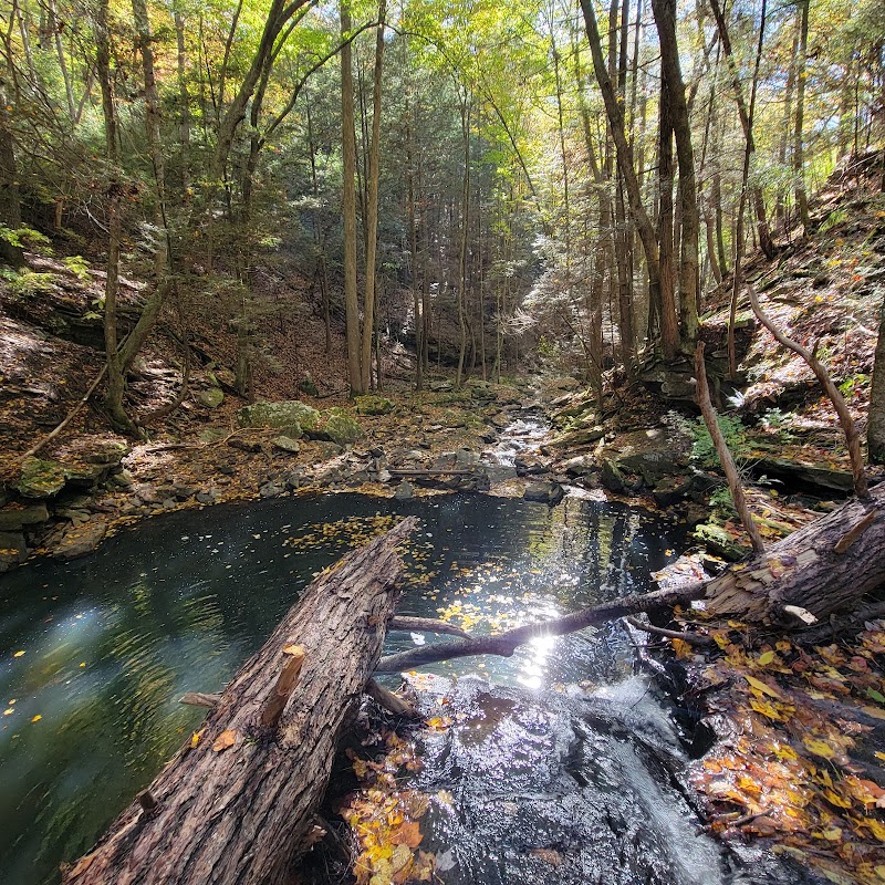 Discover Grundy Forest State Natural Area outdoor detail
