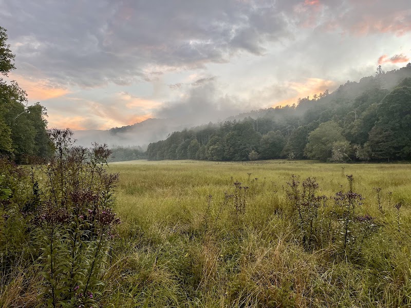 Discover the Wonders of Cherokee National Forest - Cherokee National Forest