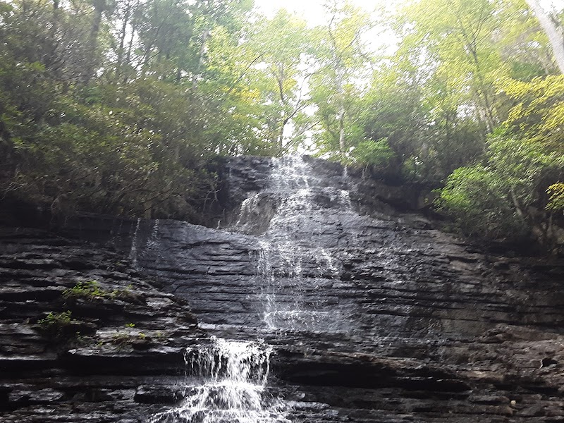 Discover the Wonders of Cherokee National Forest surrounding landscape