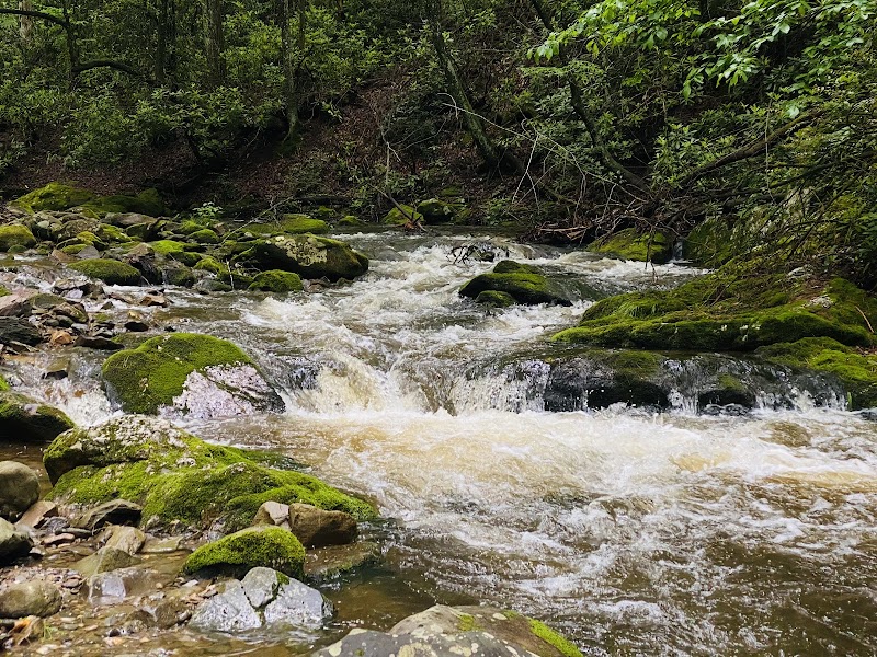 Discover Martha Sundquist State Forest surrounding landscape