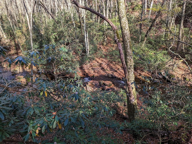 Discover Martha Sundquist State Forest - Martha Sundquist State Forest