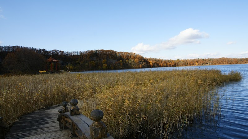 Exploring the Natural Wonders of Longwanqun National Forest Park - Longwanqun National Forest Park