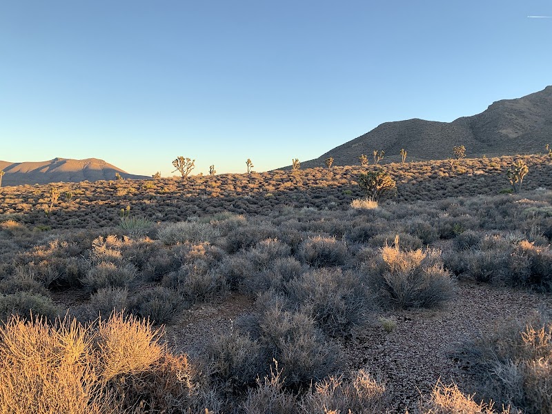 Discover the Tranquil Beauty of Gass Peak - Gass Peak