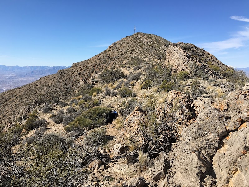 Discover the Tranquil Beauty of Gass Peak - Gass Peak