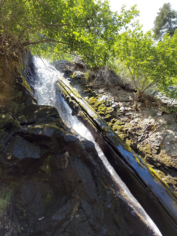 Discover the Serenity of Hunter Creek Falls surrounding landscape