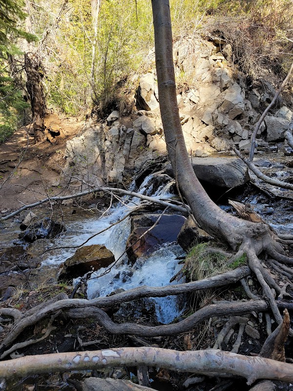 Discover the Serenity of Hunter Creek Falls outdoor detail