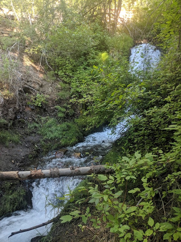 Waterfalls in the Heart of Carson City surrounding landscape