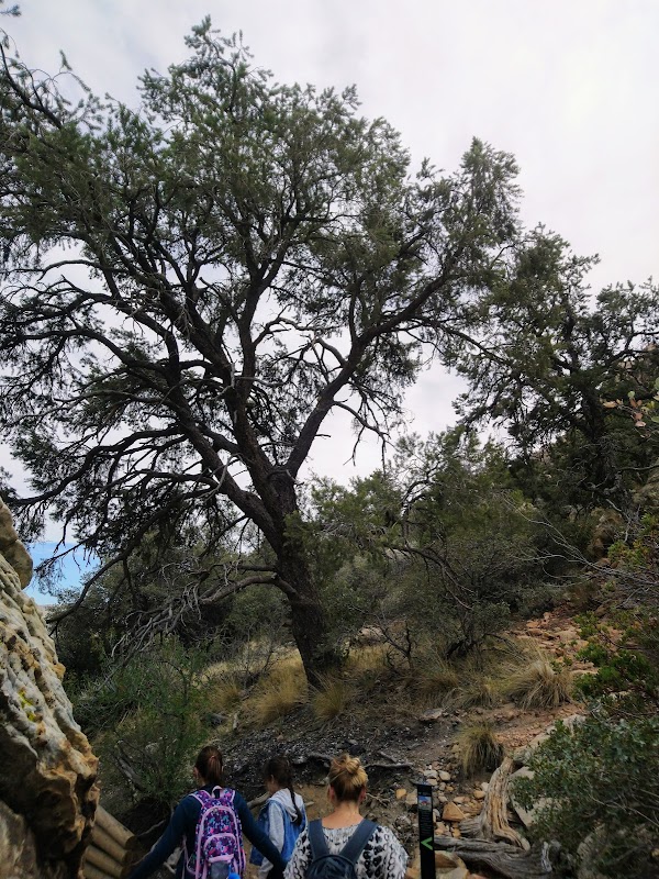 Lost Creek Canyon Adventure surrounding landscape