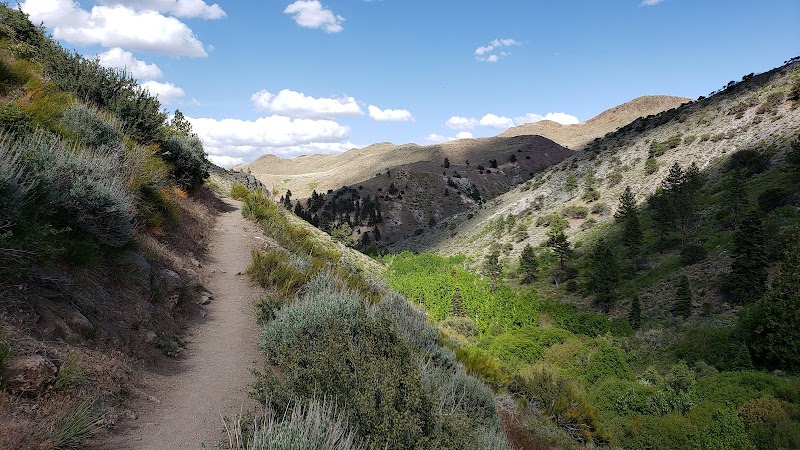 Waterfall Wonders at Hunter Creek Trailhead surrounding landscape