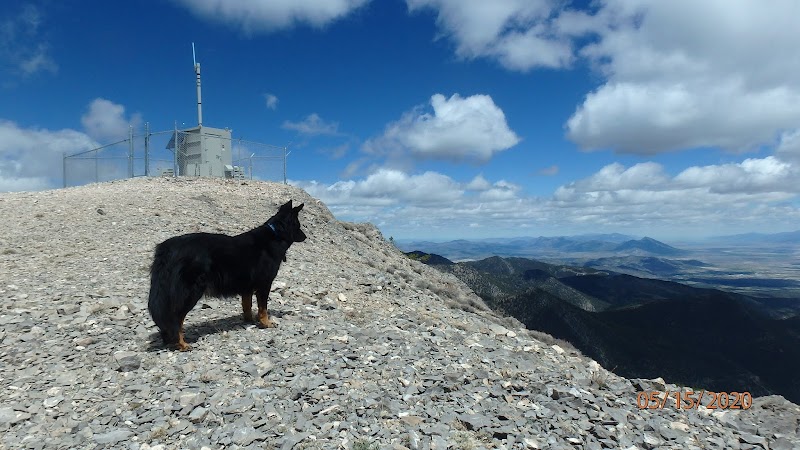 The Majesty of Ward Mountain - Ward Mountain